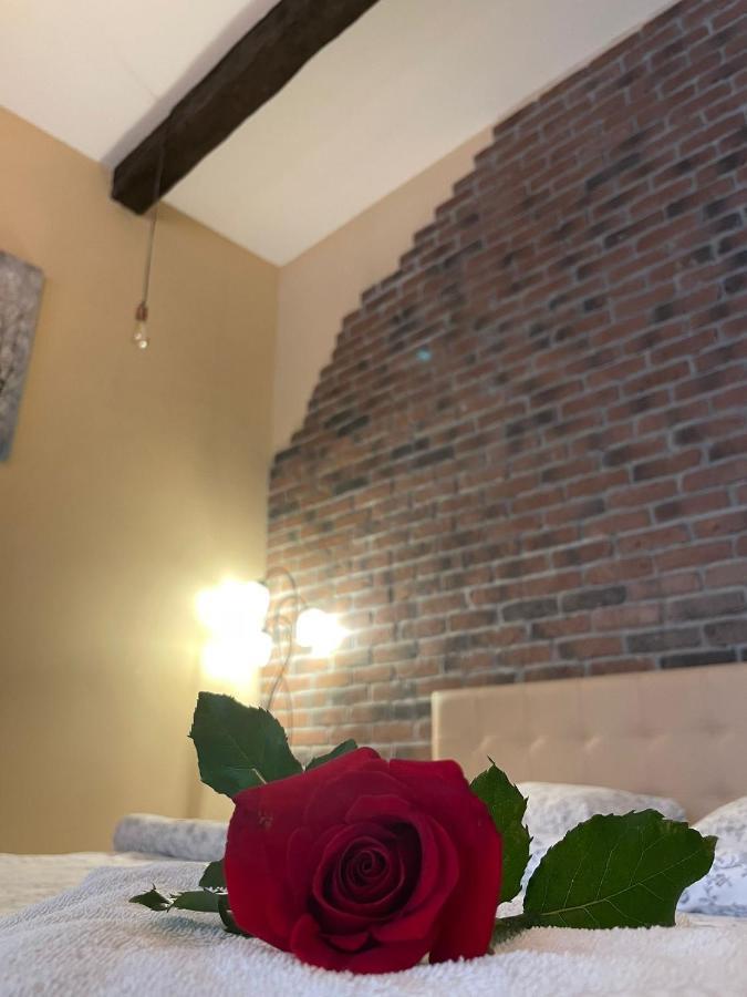 Select City Center Apartments Brasov Bagian luar foto